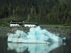 An iceberg in Portage Lake from the Portage Glacier dwarfs tour buses near Whittier, Alaska.